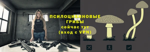 соль ск Абдулино